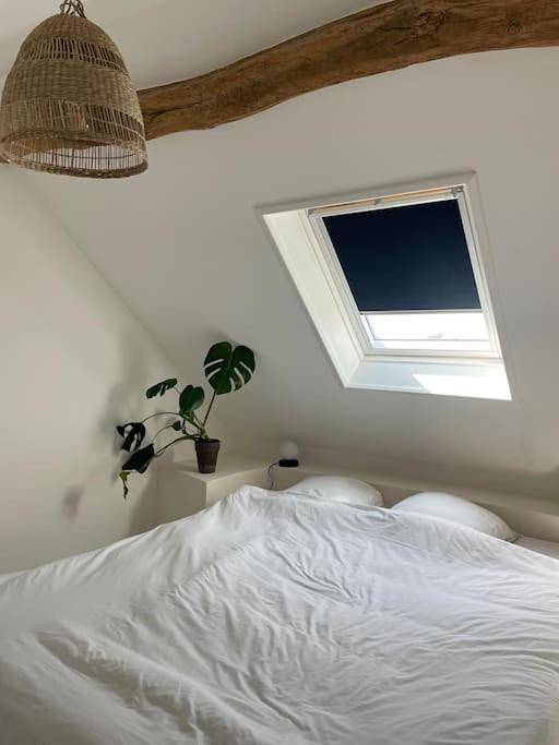 Appartement entier, One-Bedroom Apartment in Montreuil (Pas-de-Calais), Région de Montreuil