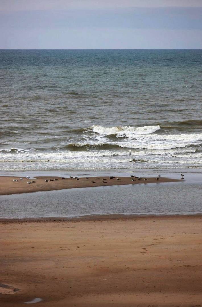Hôtel pour 2 personnes, avec terrasse à Wenduine - 3