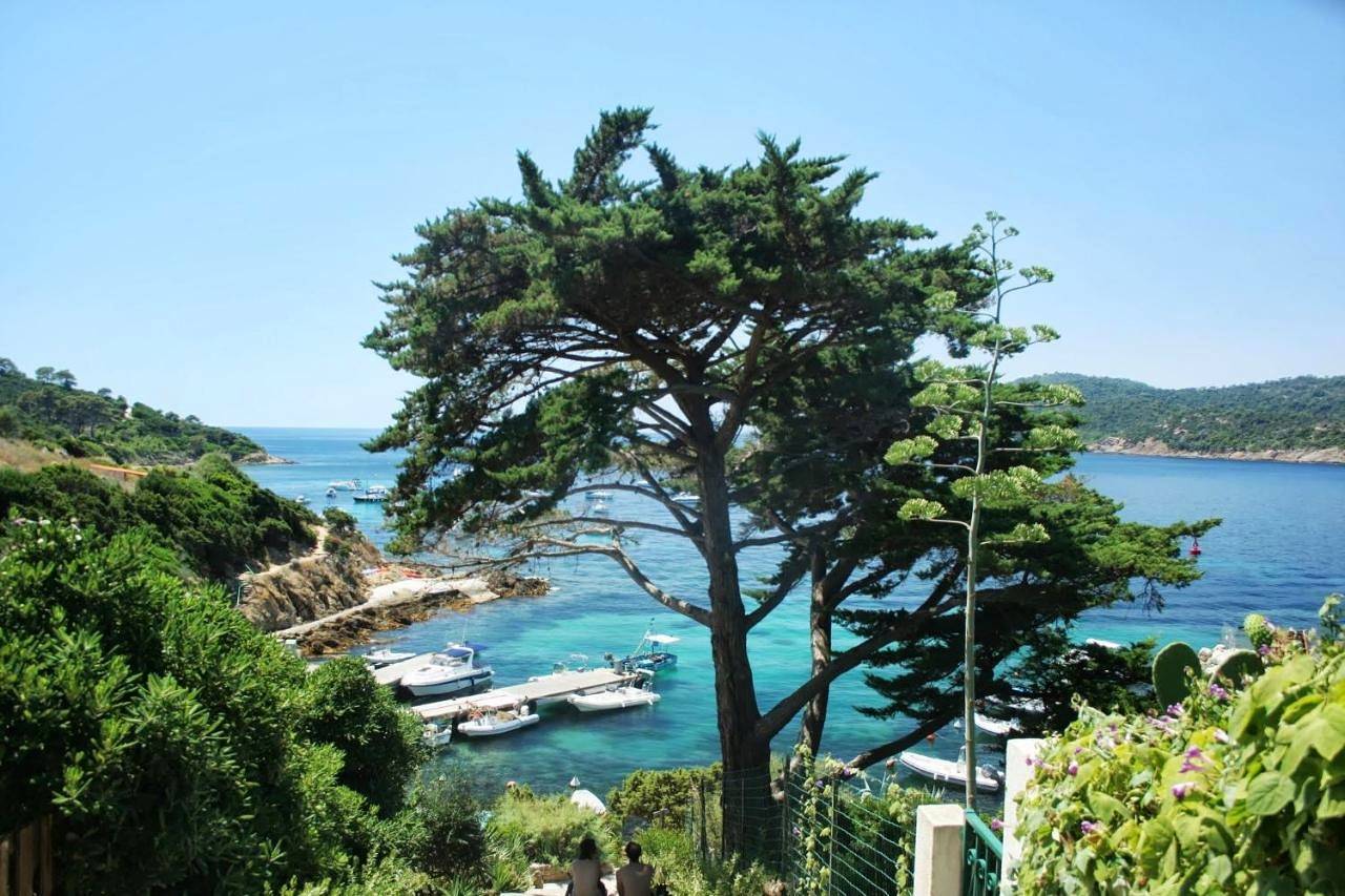 Rc d'un Cabanon écologique ile du levant Naturiste reservable du samedi au samedi in Hyeres, Parc national de Port-Cros