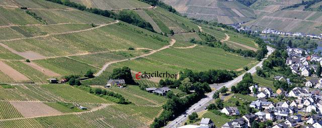 Ferienwohnung für 4 Personen, mit Terrasse in Traben-Trarbach und Umbegung - 2