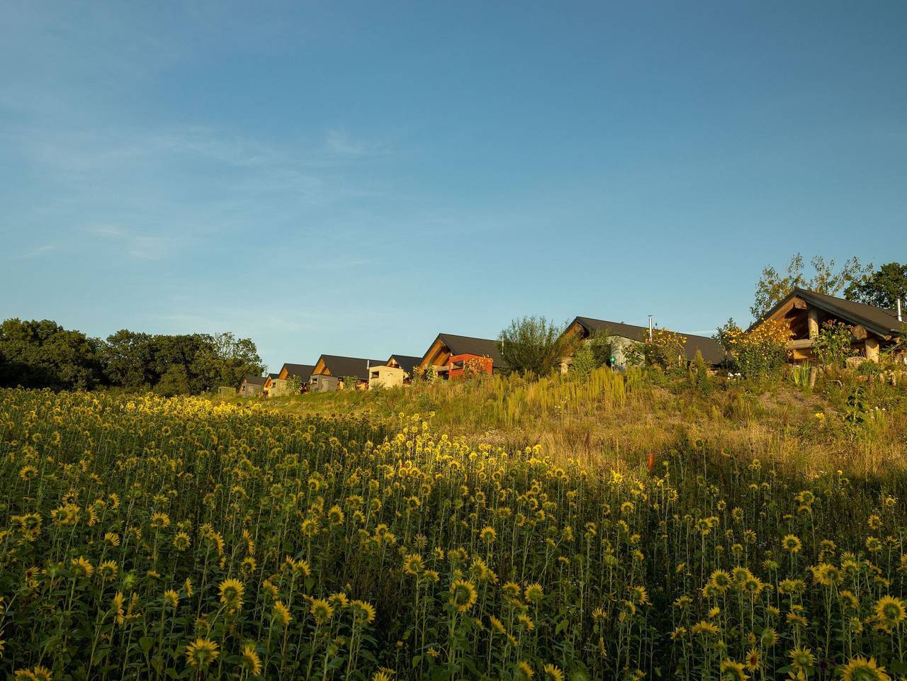 Feriendorf Tollensesee in Tollensesee, Groß Nemerow