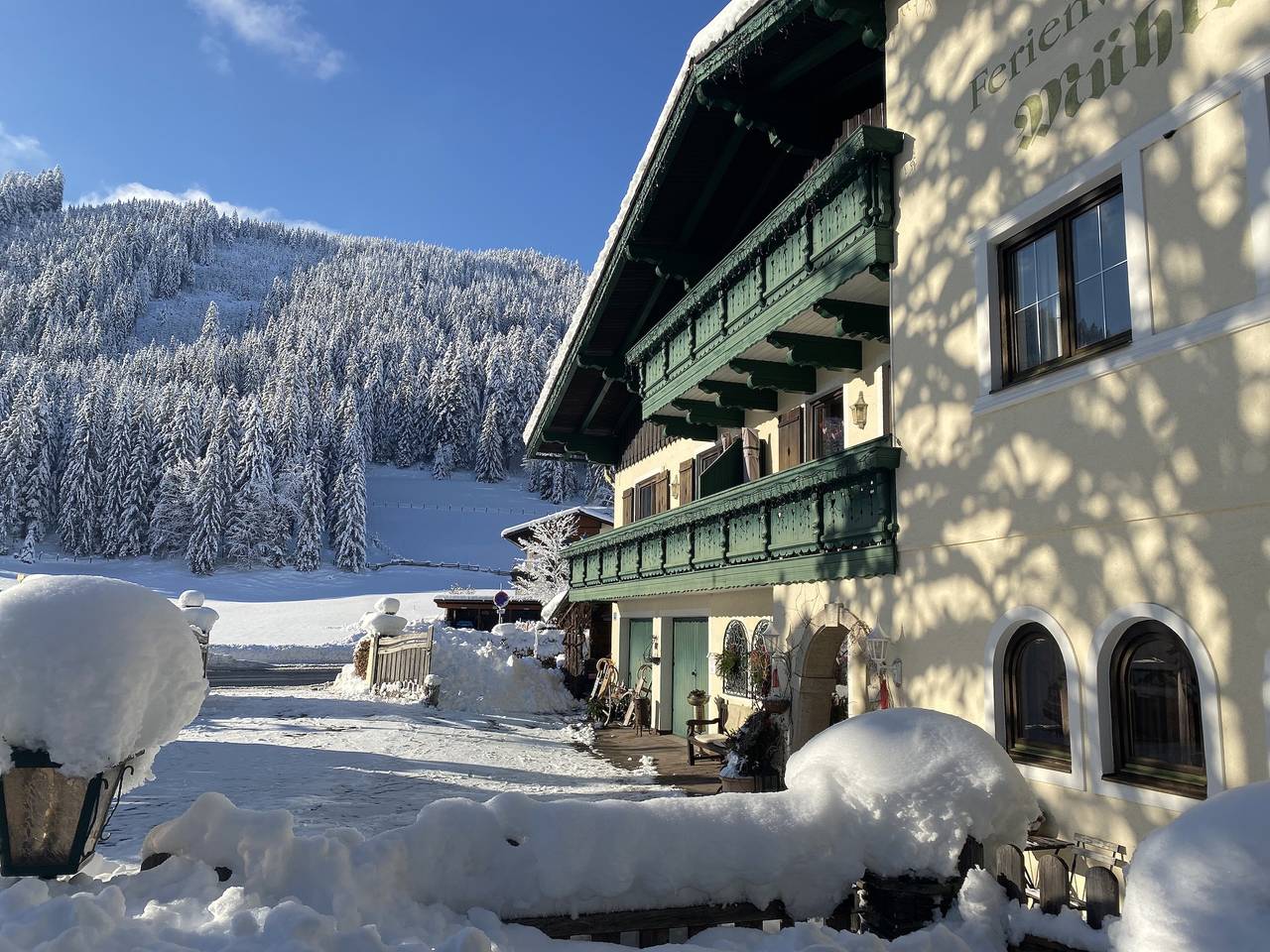 Ganze Ferienwohnung, Mühlradl Apartments - One-Bedroom Apartment in Gosau, Dachstein West