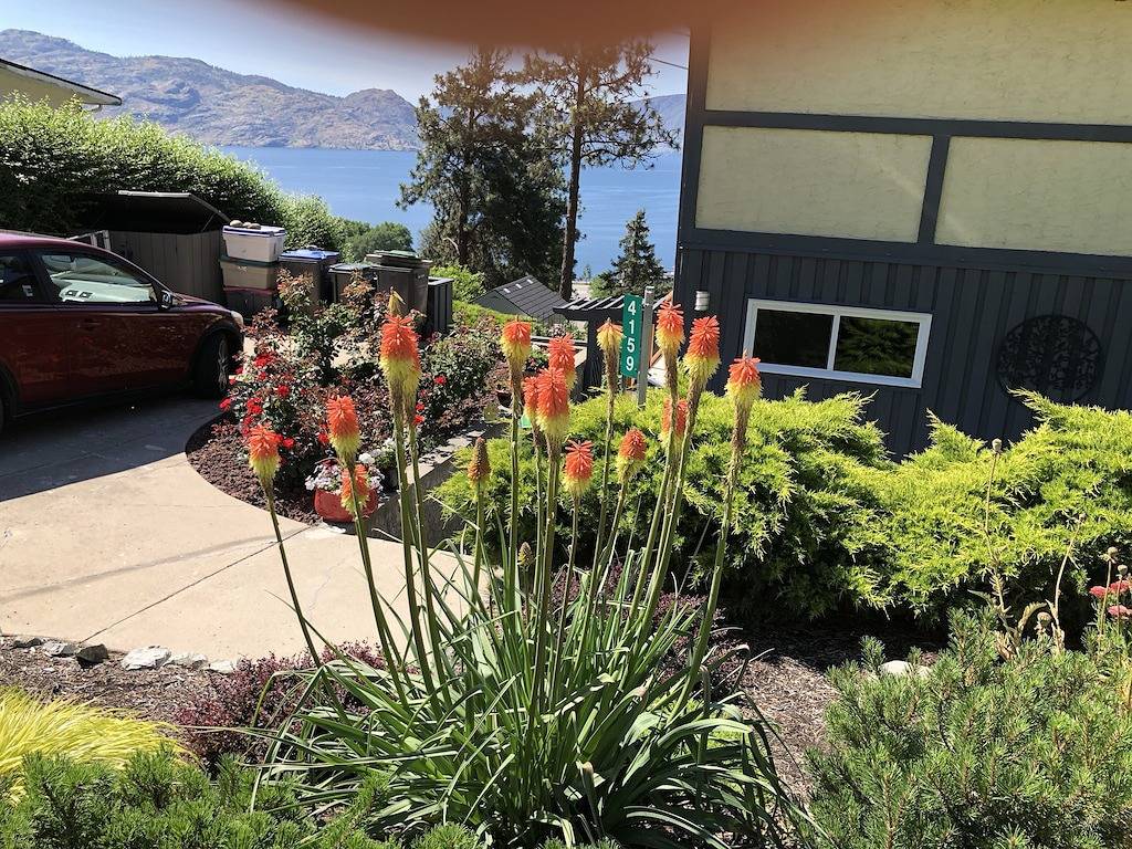 Ganze Wohnung, Szenische Ponderosa-Kiefern-Suite in Peachland British Columbia, Kanada in Peachland, Regional District of Central Okanagan