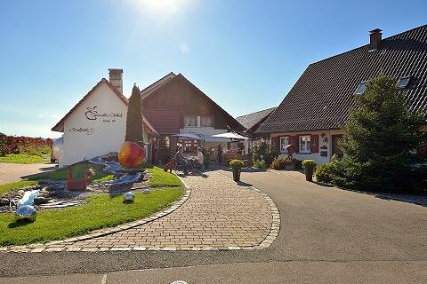 Sporrädles Obsthof & Urlaubsdomizil - Ferienhaus 1 Sporrädles Obsthof und Ferienhof 60qm 1 Schlafzimmer max. 2 Personen in Wasserburg (Bodensee), Bayerisch Schwaben