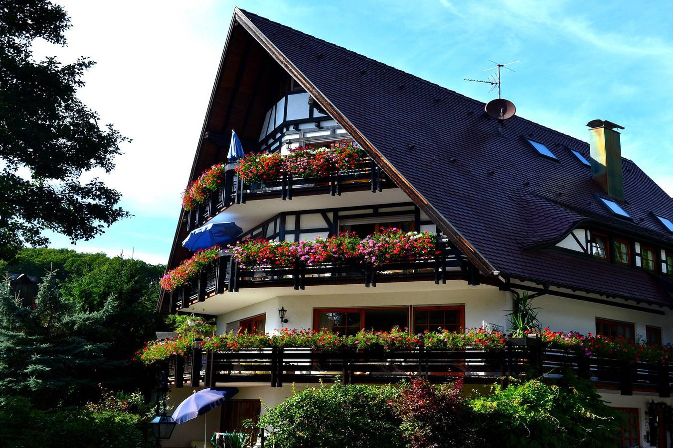 Ganze Wohnung, Ferienwohnung 'Rotkehlchen' mit Bergblick, Gemeinschaftsterrasse und Wi-Fi in Sasbachwalden, Mittlerer Schwarzwald