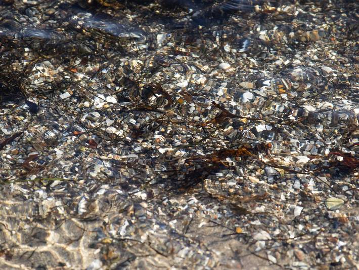 Ferienhaus für 10 Personen, mit Garten und Sauna sowie Terrasse und Whirlpool in Grønninghoved Strand - 2