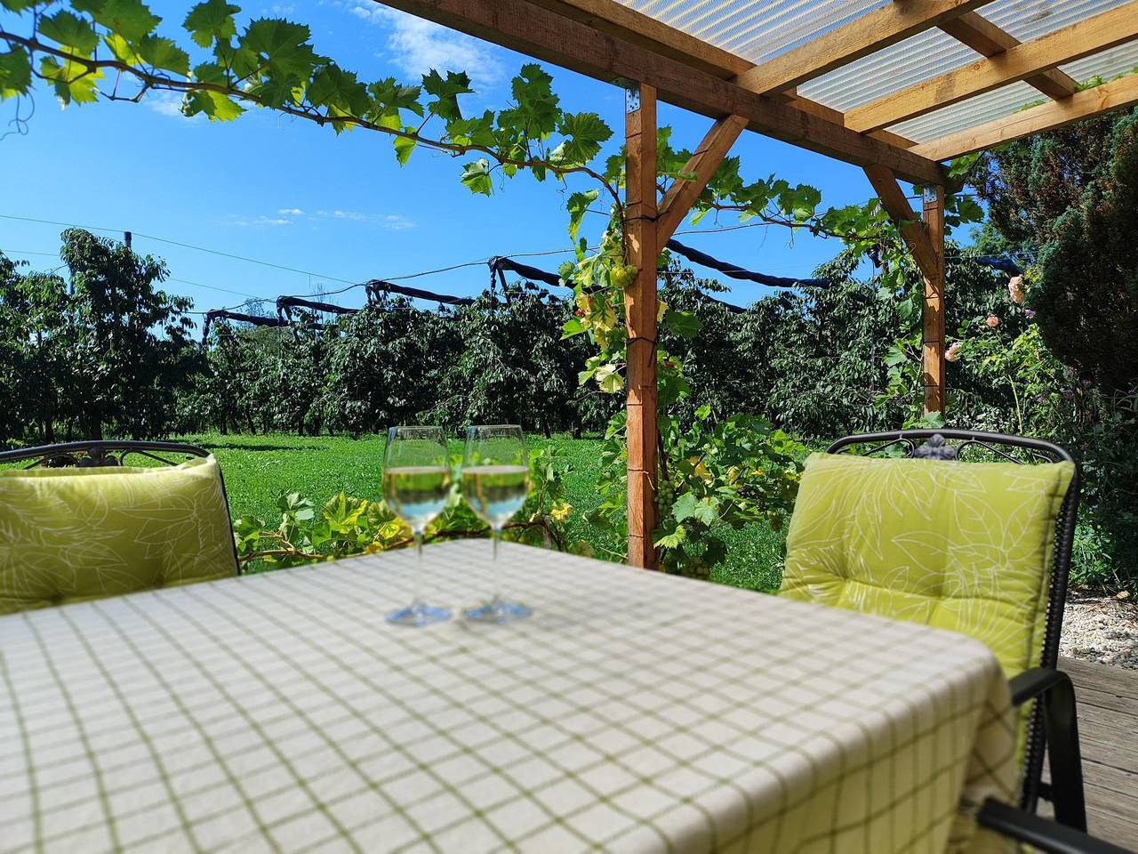 Ganze Ferienwohnung, Ferienwohnung Hopfenblüte - Ferienwohnung Hopfenblüte - 4 seperate Schlafzimmer, max. 8 Personen in Eriskirch, Region Bodensee-Oberschwaben