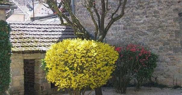 Location de vacances pour 2 personnes en Bourgogne-Franche-Comté - 3