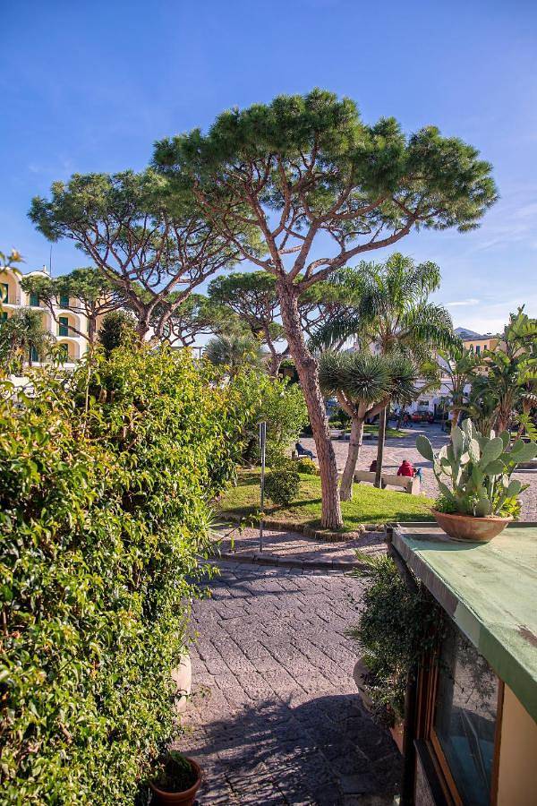 One-Bedroom House in Lacco Ameno, Ischia