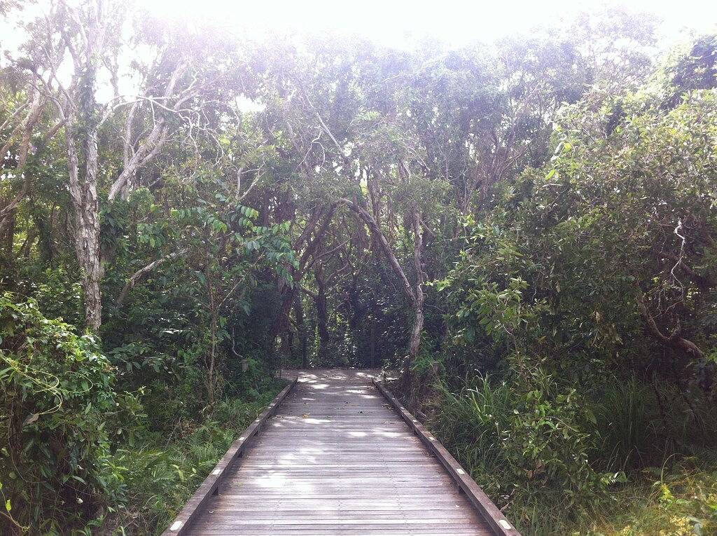 Sands Beach House - Kurzurlaub am Strand, Wlan, Bettwäsche, umzäunter Garten in Mount Coolum, Sunshine Coast