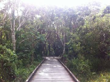 Holiday Home for 6 People in Sunshine Coast, Queensland, Photo 3