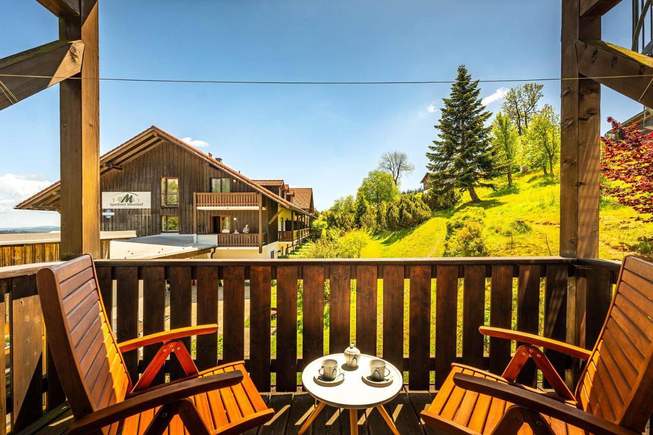 Ganze Wohnung, Apartment with Balcony in Philippsreut, Šumava Mountains