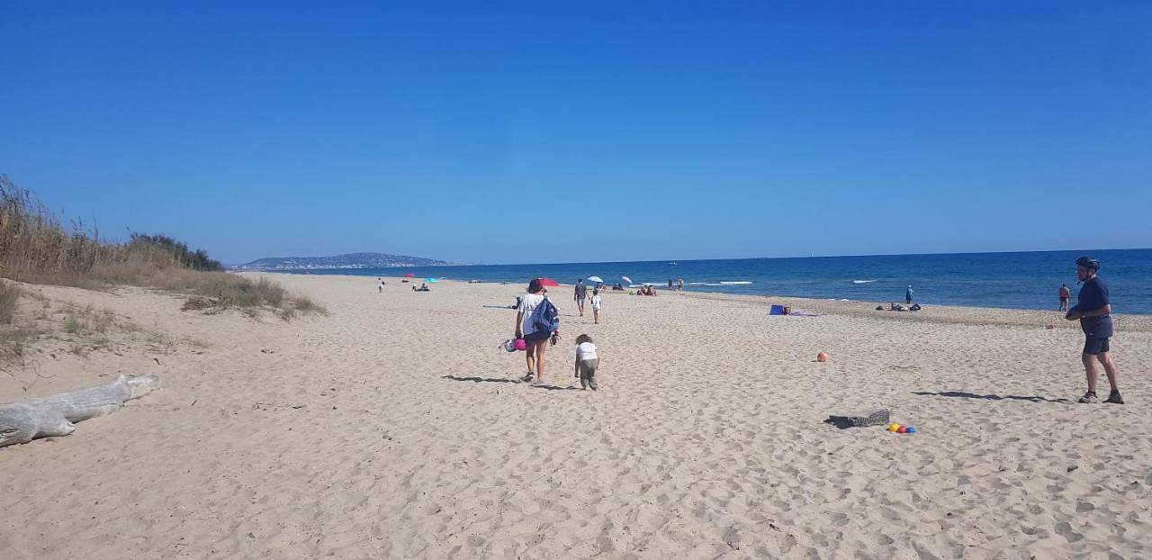 Anthony in Agde, Côte méditerranéenne (France)