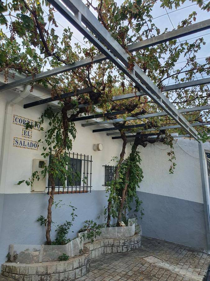 Casa de vacaciones para 8 personas, con Terraza y Piscina en Sierra Sur Jaen - 4