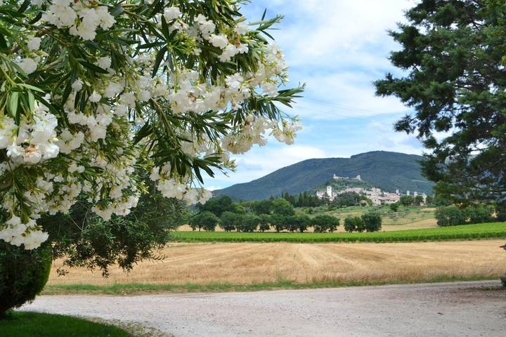 Maison d’hôte pour 5 personnes, avec jardin et vue à Assise - 4