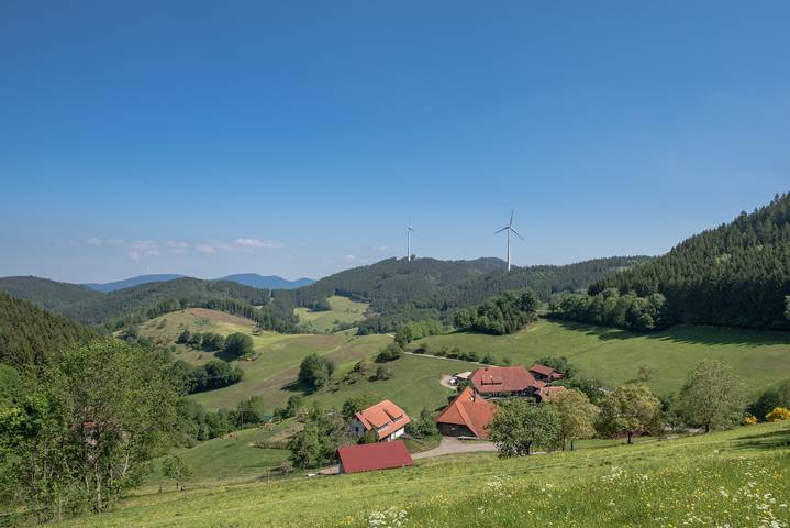 Hel lejlighed, Apartment 'Ferienwohnung Brandenkopfblick' with Mountain View, Shared Garden and Wi-Fi in Mühlenbach, Central Black Forest