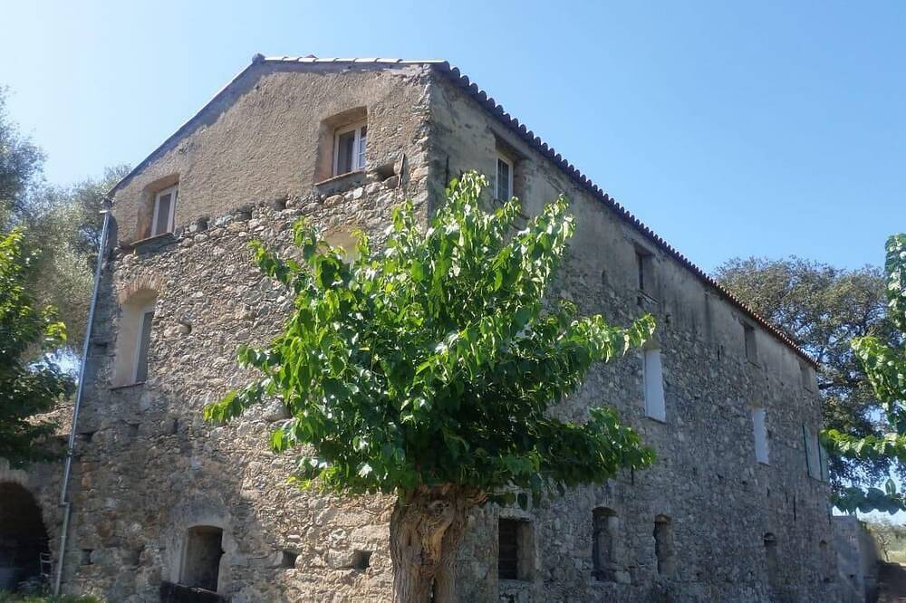 Authentic 18th-century oil mill in a 50-hectare olive grove in Balagne. in Novella, Calvi und Umgebung