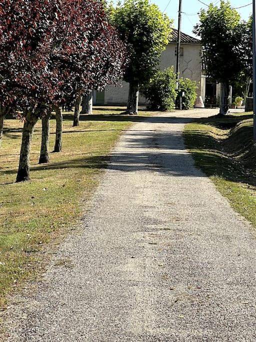 La petite lande in Bourgougnague, Région de Marmande