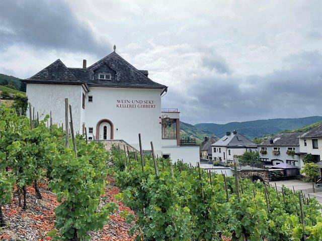Ferienwohnung für 4 Personen, mit Terrasse in Zell Stadt (Mosel) - 2