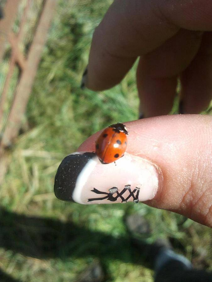 Location de vacances pour 10 personnes, avec terrasse et vue dans Vismes Au Val