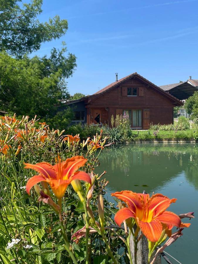 Ferienhaus für 6 Personen, mit Seeblick und Garten sowie Ausblick im Elsass - 2
