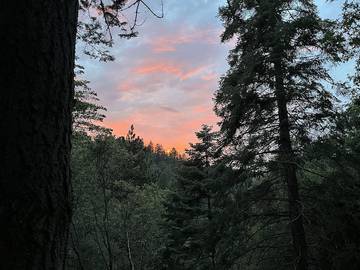 Log Cabin for 9 Guests in Lake Arrowhead, San Bernardino County, Picture 2