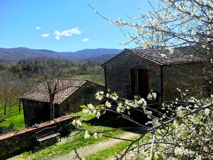 Haus 4 Personen in Chiusdino, Siena Provinz