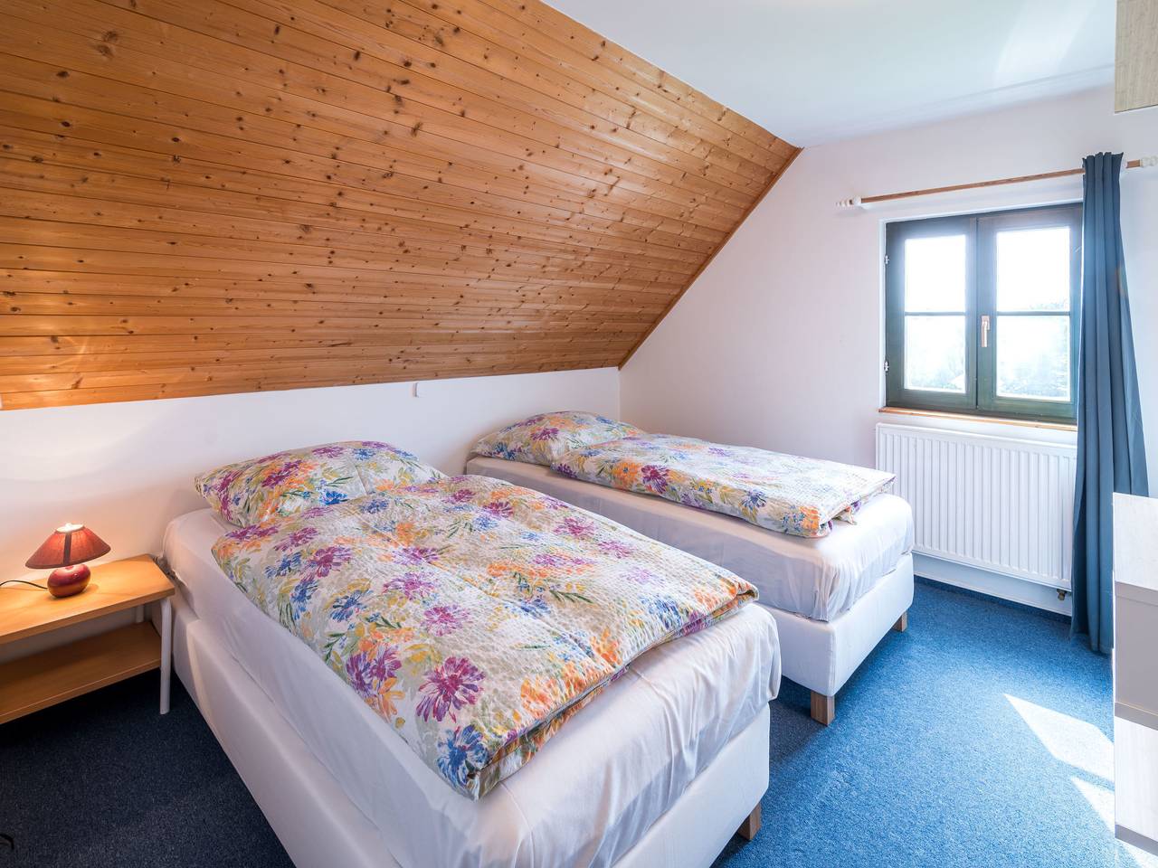 Holiday Hill 30 in Černý Důl, Trautenau regio