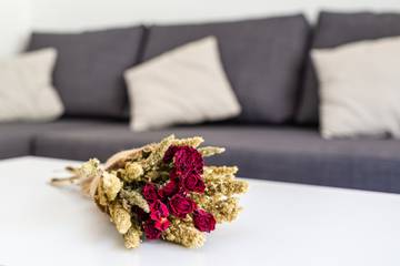 Vakantiewoning voor 4 Personen in Sa Riera, Begur, Afbeelding 4