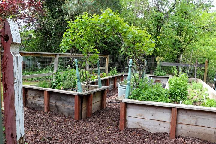 Vacation rental for 14 people, with yard in Atascadero