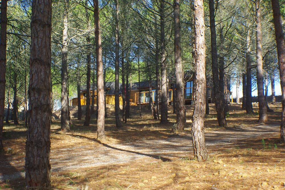 New eco-lodge in the countryside, three minutes from all amenities. in Limoux, Limoux region