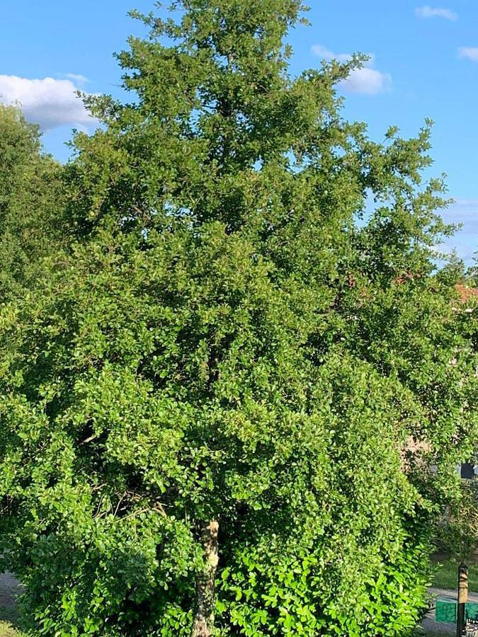 Double Room in Nogaro, Gers