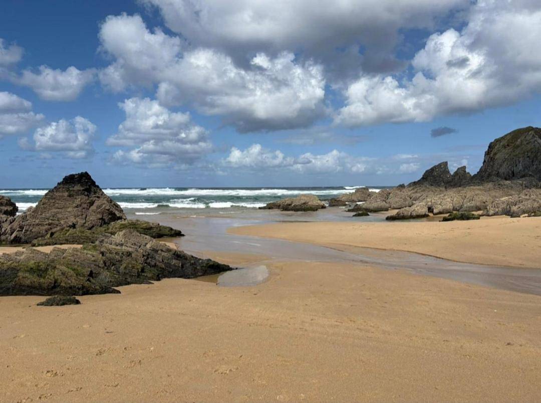 Apartamento entero, La quinta olac acogedor bungalow independiente in Ferrol, Costa de Galicia