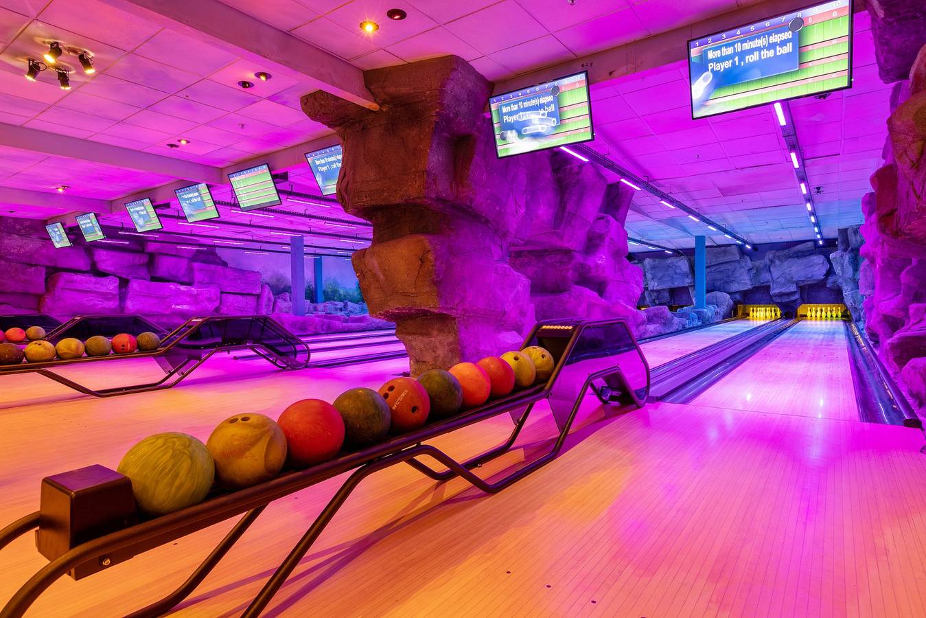 Cottage Vip 6 people in Drenthe