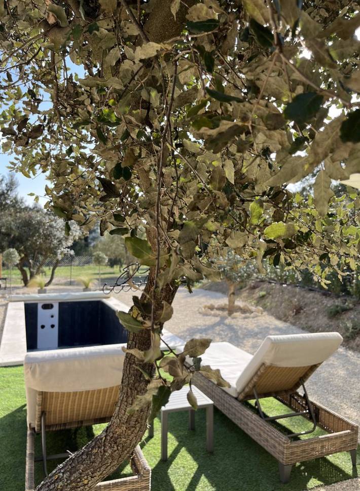 Gîte pour 2 personnes, avec terrasse ainsi que jardin et piscine dans le Vaucluse - 4