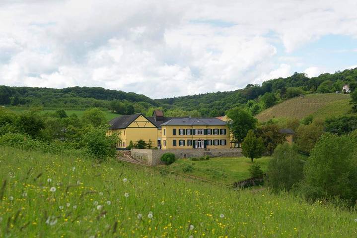 Hotel voor 2 personen, met Tuin in Rheingau