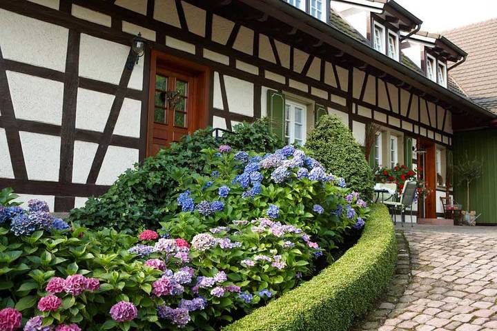 Ganze Ferienwohnung, Winzerhof Werner - Ferienwohung 3 25qm für 1-2 Personen in Durbach, Mittlerer Schwarzwald