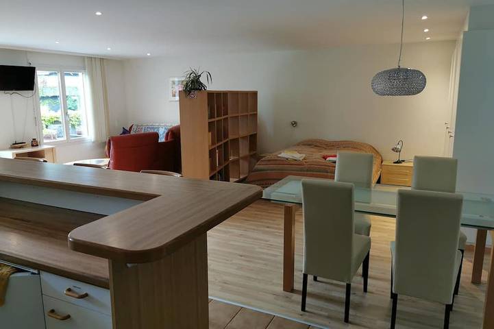 Ganze Wohnung, Geräumiges 1-Raum Apartment mit Küche, separatem Badezimmer, kein Parken am Haus in Horw, Vierwaldstättersee