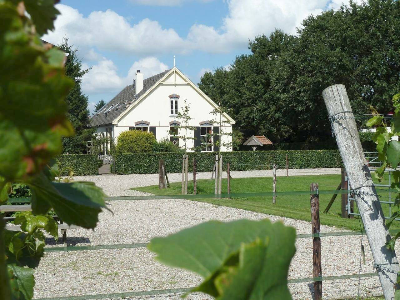 Chalet in het stro in IJssel