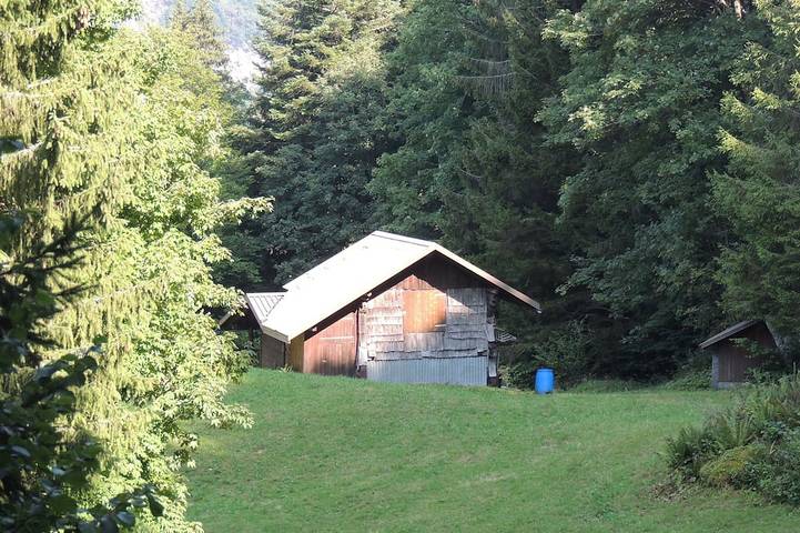 Lovingly furnished Alphüttli in Wilderswil, Lago di Thun