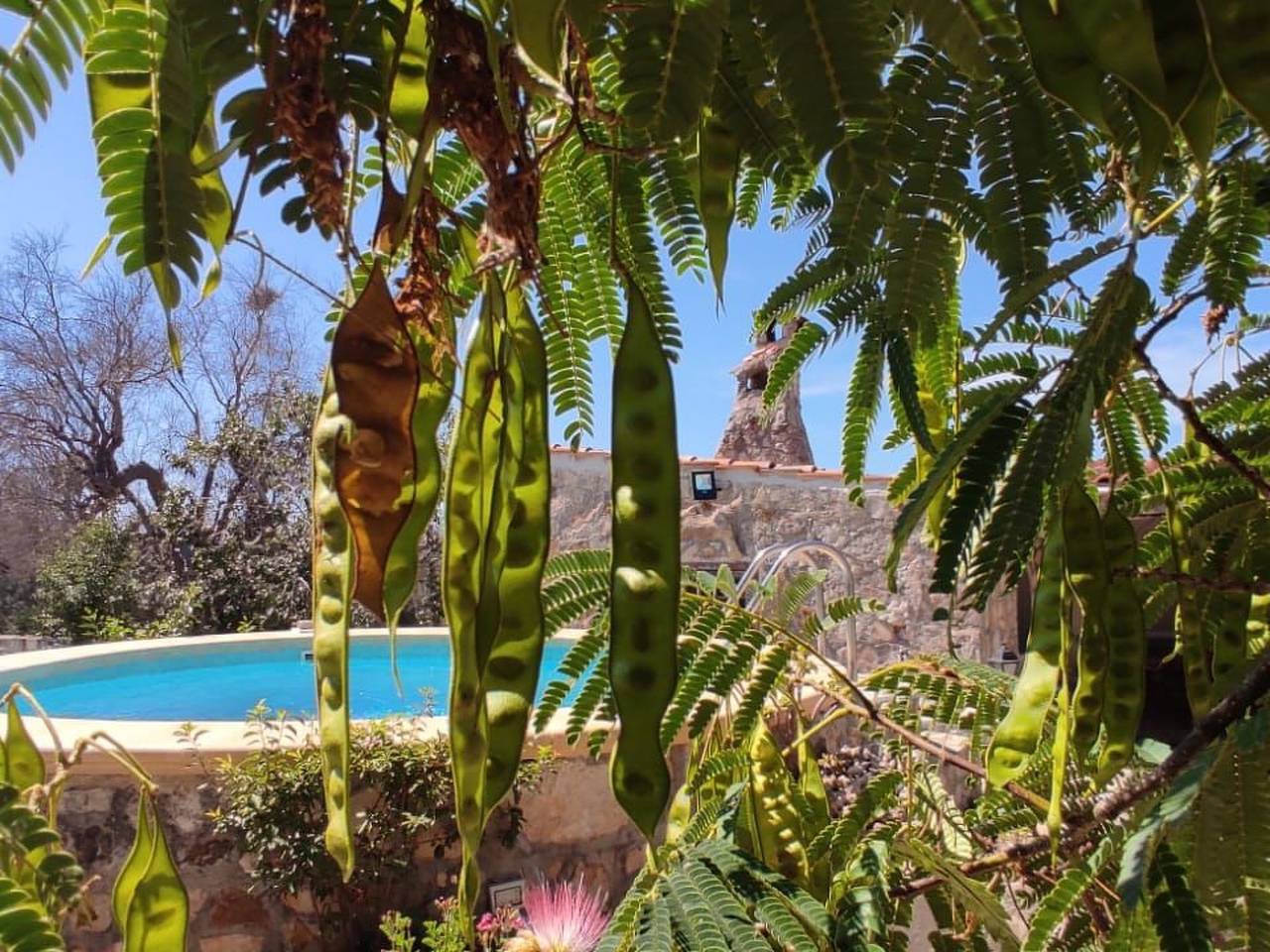 Villa Barone Landhaus mit Pool in Casarano, Golf von Tarent