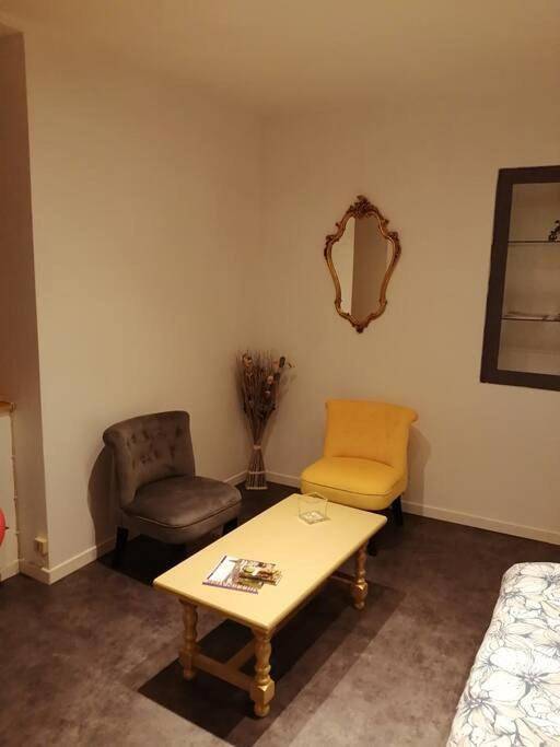 Appartement entier, One-Bedroom Apartment in Tournus, Région de Mâcon