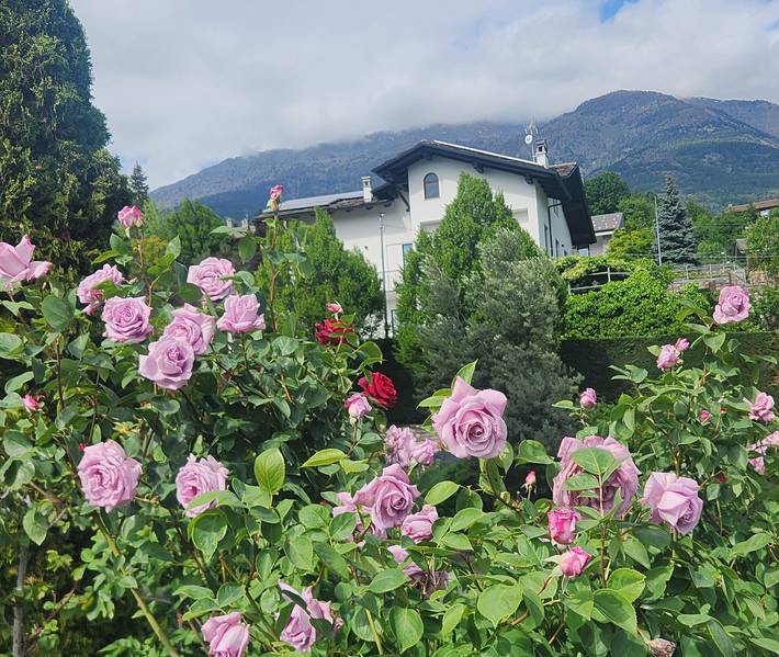 Entire apartment, Apartment 'La Meison De La Louye' with Mountain View, Wi-Fi and Air Conditioning in Aosta, Wallisian Alps