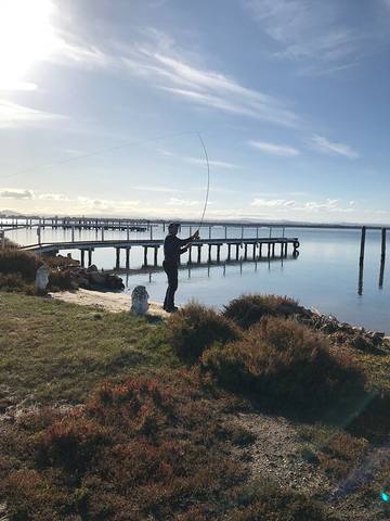 Holiday Home for 6 People in Shire of East Gippsland, Photo 4