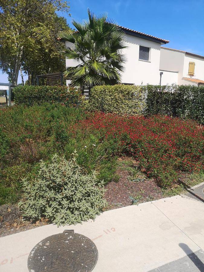 Location de vacances pour 7 personnes, avec terrasse et piscine, animaux acceptés à Candillargues - 3