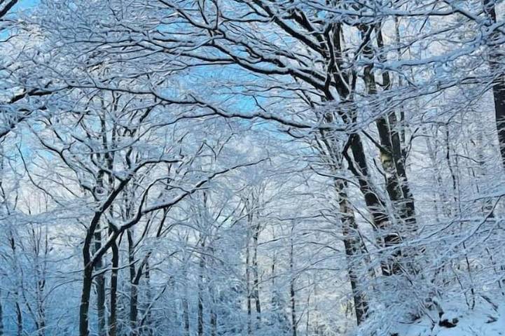 Location de vacances pour 7 personnes, avec jardin dans Mormont