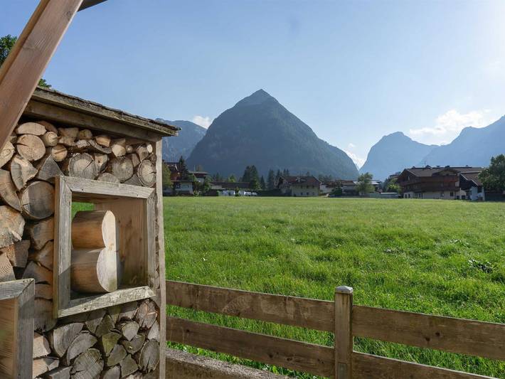 Ferienwohnung für 4 Personen, mit Balkon und Garten in Pertisau - 3