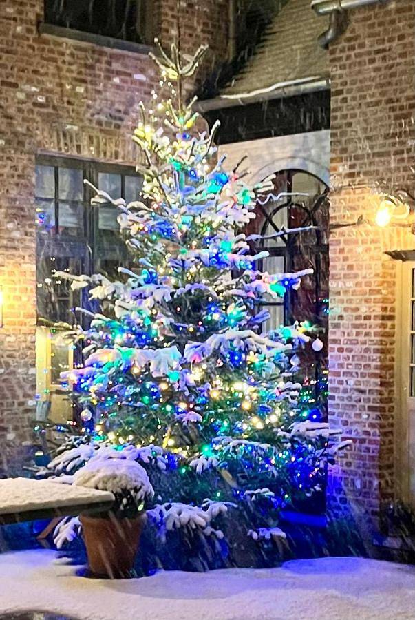 Chambre d’hôte pour 2 personnes, avec jardin et vue à Ypres - 2