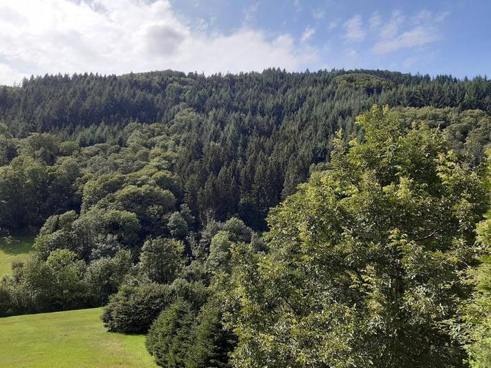 Location de vacances pour 12 personnes, avec sauna ainsi que terrasse et vue à Seebach (Ortenaukreis) - 4