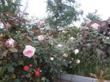 Ferienwohnung für 4 Personen in Dreiheide, Sächsisches Burgen- und Heideland, Bild 2